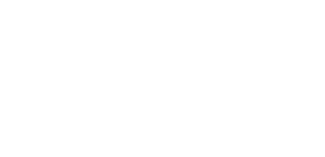 Erfan Hooshmand